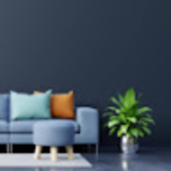 Meet your Posher, Febe - Picture 1 of 1